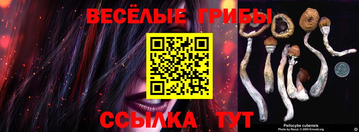 Псилоцибиновые грибы GOLDEN TEACHER  Вход с VPN  Кызыл 